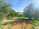 Thumbnail Cottage for sale in Via Delle Venelle, Casale Marittimo, Pisa, Tuscany, Italy