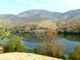 Thumbnail Farm for sale in 260 Ha Vineyard And Olive Grove Along The Douro River, Portugal