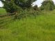 Thumbnail Land for sale in Hall Lane, Dickleburgh, Dis