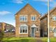 Thumbnail Detached house for sale in Flanders Red, Hull