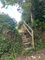Thumbnail Cottage to rent in Burraton, Ivybridge