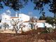 Thumbnail Property for sale in Castellana Grotte, Puglia, 70013, Italy