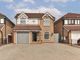 Thumbnail Detached house for sale in Kestrel Avenue, Hull