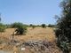 Thumbnail Land for sale in Ayia Marinouda, Cyprus