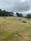 Thumbnail Land for sale in Llangoedmor, Cardigan