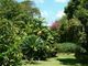 Thumbnail Country house for sale in Bulkeley Great House, Bulkeley, St. George, Barbados