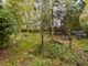 Thumbnail Detached house for sale in Lodge Lane, Bressingham, Diss