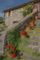 Thumbnail Country house for sale in Orvieto, Orvieto, Umbria