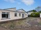 Thumbnail Detached bungalow for sale in The Drumlins, Ballynahinch