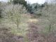 Thumbnail Land for sale in Rectory Lane, Shenley