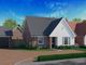 Thumbnail Detached bungalow for sale in Bure Gardens, Coltishall, Norwich