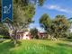 Thumbnail Villa for sale in Orbetello, Grosseto, Toscana