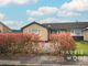 Thumbnail Bungalow for sale in The Westerings, Cressing, Braintree, Essex