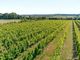 Thumbnail Land for sale in Somerby Vineyard &amp; Winery, Somerby, Barnetby, Lincolnshire