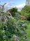 Thumbnail Detached house for sale in Prospect House, North Stoke
