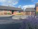 Thumbnail Semi-detached bungalow for sale in Scotby Green Steading, Scotby