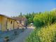 Thumbnail Country house for sale in Pelago, Pelago, Toscana