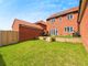 Thumbnail Detached house for sale in Pipistrelle Drive, Onehouse, Stowmarket