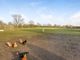 Thumbnail Detached bungalow for sale in Back Lane, North Cowton, Northallerton