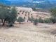 Thumbnail Country house for sale in Periana, Axarquia, Andalusia, Spain