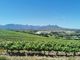 Thumbnail Farmhouse for sale in Stellenbosch Wine Farm, Vlaeberg Road, Stellenbosch, Western Cape, 7600