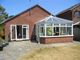 Thumbnail Detached bungalow to rent in Clover Close, Locks Heath, Southampton