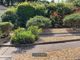 Thumbnail Bungalow to rent in De Pass Gardens, Falmouth