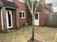 Thumbnail Link-detached house for sale in Chester Close, Apperley