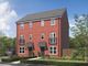 Thumbnail Semi-detached house for sale in "The Ashdown" at Norton Hall Lane, Norton Canes, Cannock