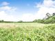 Thumbnail Land for sale in Week St. Mary, Holsworthy