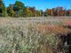 Thumbnail Land for sale in 225 Route 22, Pawling, New York, United States Of America