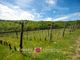 Thumbnail Farm for sale in Bucine, Tuscany, Italy