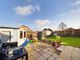 Thumbnail Detached house for sale in Chestnut Avenue, Spixworth, Norwich