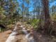 Thumbnail Property for sale in 228 Pine Ranch East Rd, Osprey, Florida, 34229, United States Of America