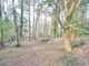 Thumbnail Land for sale in The Ridge, Godshill, Fordingbridge, Hampshire