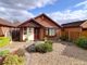 Thumbnail Detached bungalow for sale in Beechfield Drive, Walton On The Hill, Stafford