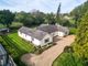 Thumbnail Bungalow for sale in Brockley, Bury St. Edmunds