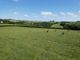 Thumbnail Land for sale in Trewidland, Liskeard