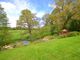 Thumbnail Detached house for sale in Upper Ifold, Dunsfold