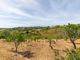 Thumbnail Villa for sale in Vila Do Bispo Municipality, Portugal