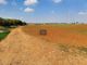 Thumbnail Land for sale in Ormideia, Cyprus