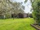 Thumbnail Detached house for sale in Willows Green, Chelmsford