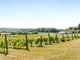 Thumbnail Land for sale in Somerby Vineyard &amp; Winery, Somerby, Barnetby, Lincolnshire