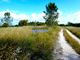 Thumbnail Land for sale in Property 70Ha, Santarém, Salvaterra De Magos, Muge, Salvaterra De Magos, Santarém, Central Portugal