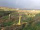 Thumbnail Property for sale in Land 1 Near Watering House, Longhope, Orkney