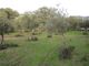 Thumbnail Land for sale in 6090 Penamacor, Portugal