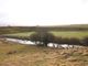 Thumbnail Land for sale in Plot 4 Willows By The Water, Auchencross