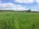 Thumbnail Land for sale in Ham Road, Ashleworth, Gloucestershire