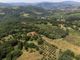 Thumbnail Villa for sale in Reggello, Tuscany, 50066, Italy