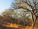 Thumbnail Farm for sale in 11 Parsons, Parsons Game Reserve, Hoedspruit, Limpopo Province, South Africa